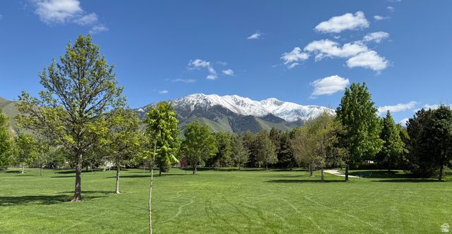 1096 VALLEY SAGE DR, Springville, UT 84663