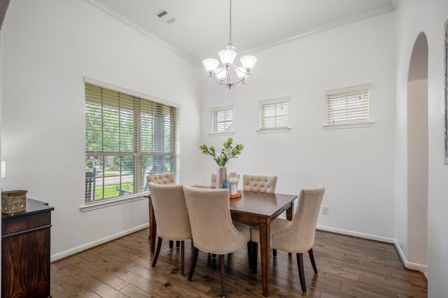 18719 Big Elm Drive, Cypress, TX 77433