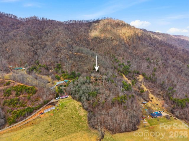 99 Margaret Drive, Leicester, NC 28748