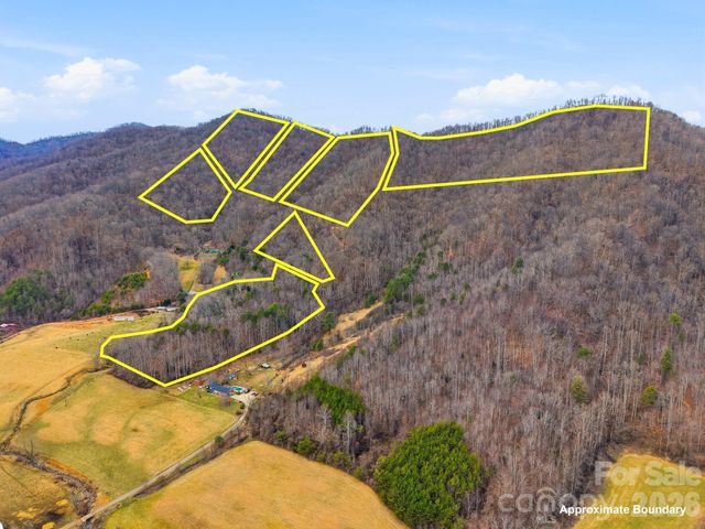 99 Margaret Drive, Leicester, NC 28748