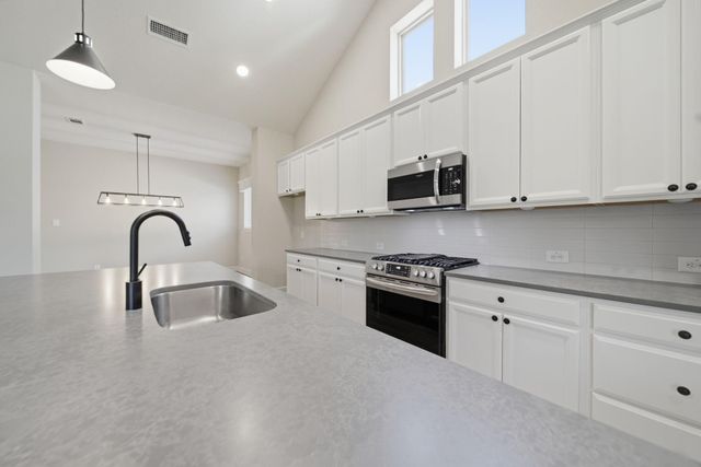 17441 Violet Vineyard Street, Conroe, TX 77302