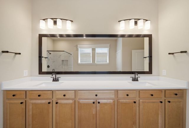 17441 Violet Vineyard Street, Conroe, TX 77302