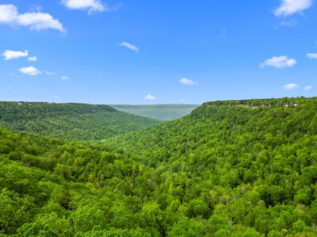 235 Pine Knot Pass, Jasper, TN 37347