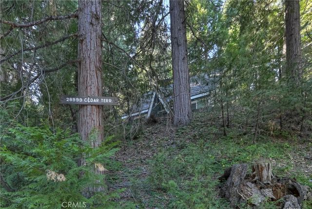 28999 Cedar Terrace, Cedar Glen, CA 92321