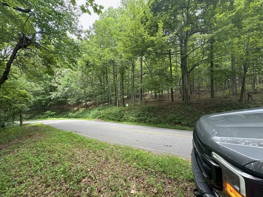 0000 Skyuka Mountain Road, Columbus, NC 28722