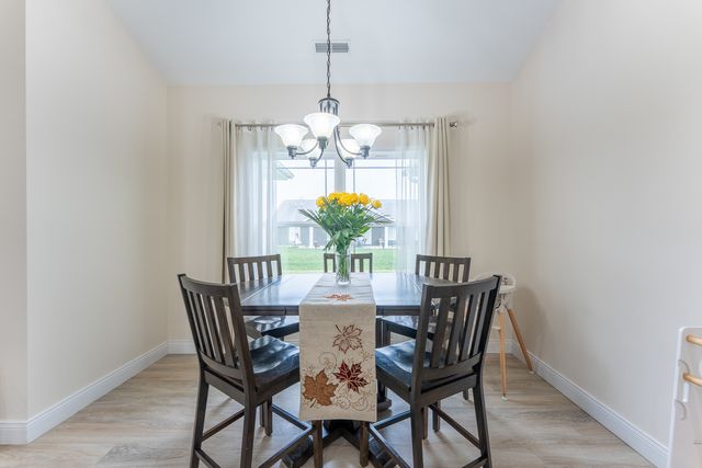 1117 Early Bird Lane, Marion, IL 62959