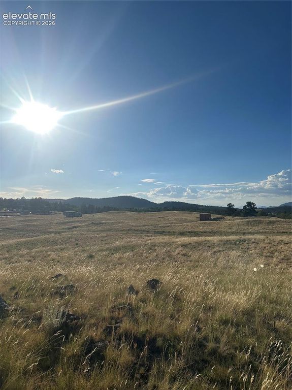290 Castle Mountain Drive, Florissant, CO 80816 — exterior