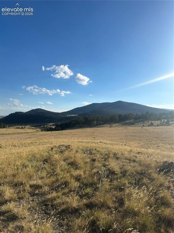 290 Castle Mountain Drive, Florissant, CO 80816 — photo 2