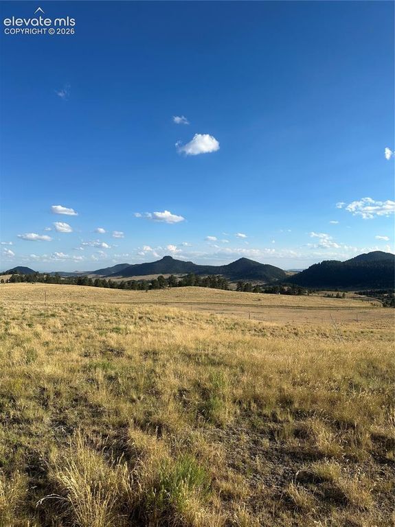 290 Castle Mountain Drive, Florissant, CO 80816 — photo 3