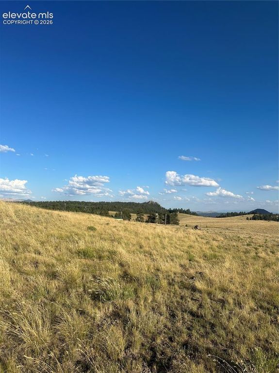 290 Castle Mountain Drive, Florissant, CO 80816 — photo 4