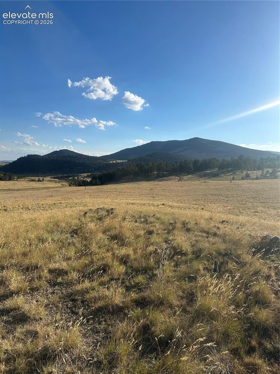 290 Castle Mountain Drive, Florissant, CO 80816 — photo 5