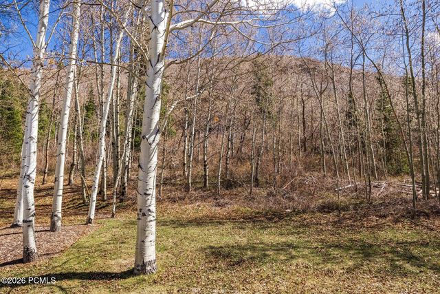 2358 Good Trump Court, Park City, UT 84060