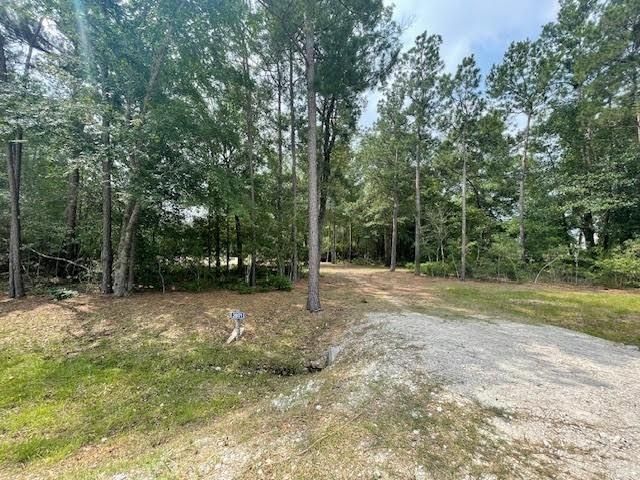 28171 Joseph Rd, Hockley, TX 77447
