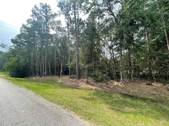 28171 Joseph Rd, Hockley, TX 77447