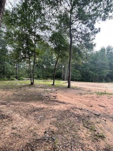 28171 Joseph Rd, Hockley, TX 77447