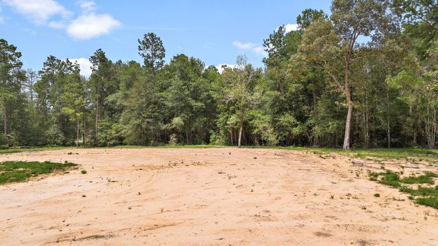 28171 Joseph Rd, Hockley, TX 77447