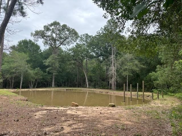 28171 Joseph Rd, Hockley, TX 77447