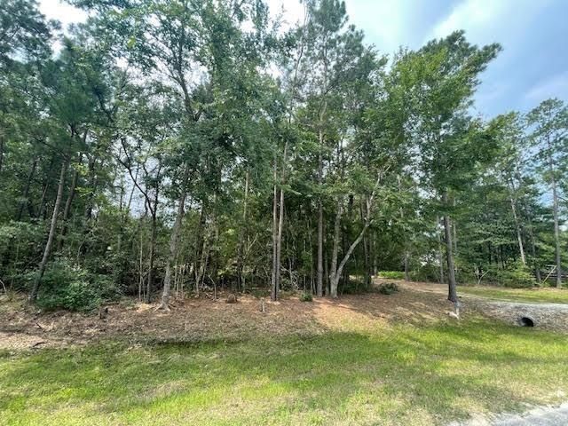 28171 Joseph Rd, Hockley, TX 77447