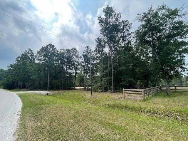 28171 Joseph Rd, Hockley, TX 77447