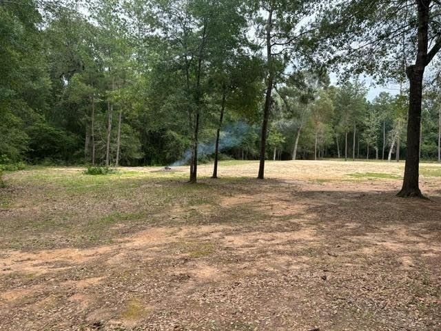 28171 Joseph Rd, Hockley, TX 77447