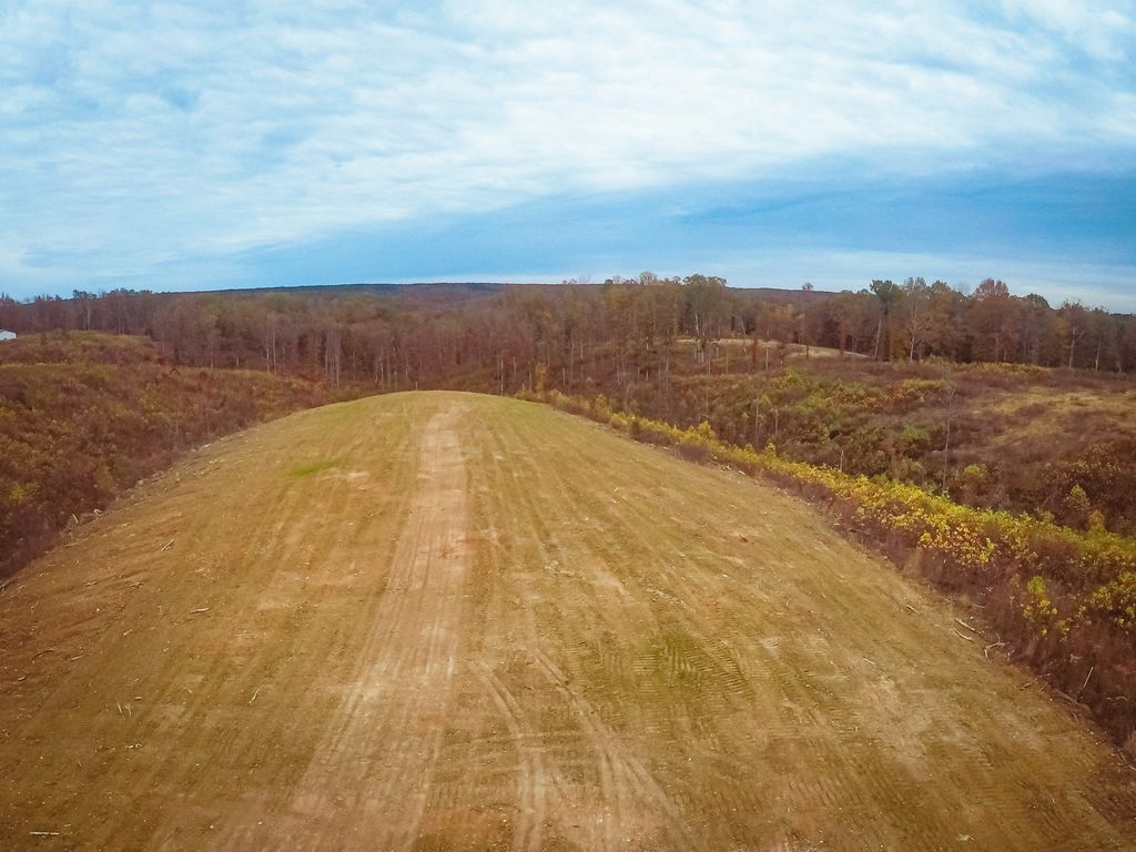 0 Springer Rd, Hohenwald, TN 38462