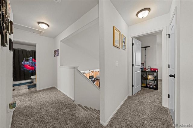 949 Ashbrook Drive, Windsor, CO 80550