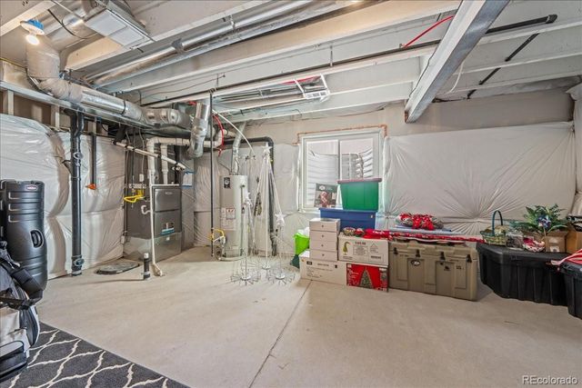 949 Ashbrook Drive, Windsor, CO 80550