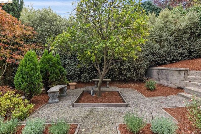 20 Oak Ridge Rd, Berkeley, CA 94705