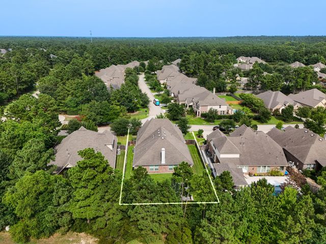 110 Hunter Hollow Drive, Montgomery, TX 77316