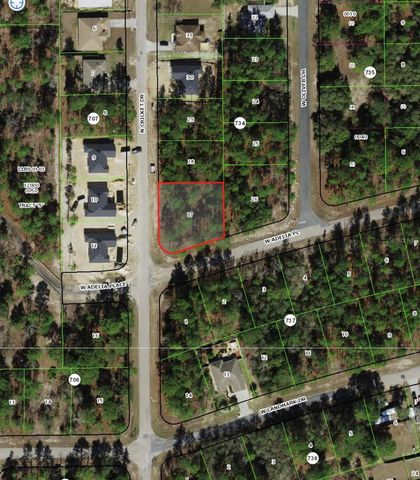 1951 W ADELIA PLACE, Citrus Springs, FL 34434