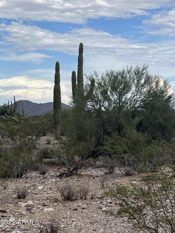0 W Dove Vly Road -, Phoenix, AZ 85085 — photo 4