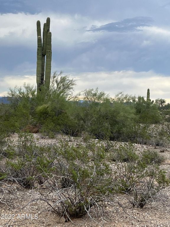 0 W Dove Vly Road -, Phoenix, AZ 85085 — photo 5