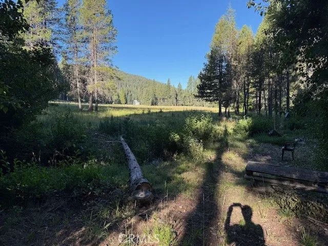 9002 Humboldt Road, Jonesville, CA 95942