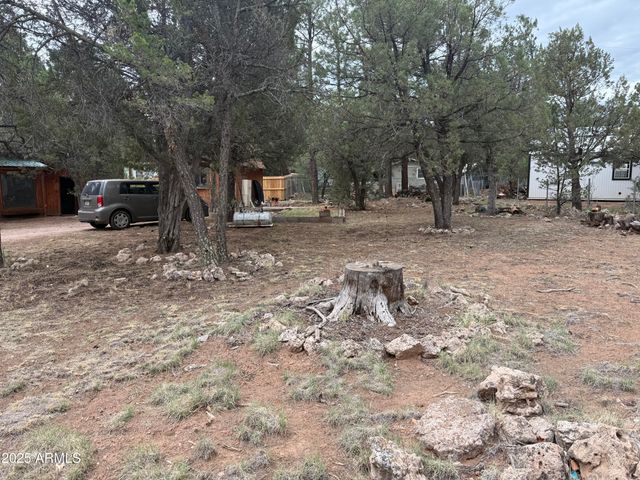 2181 HASHKNIFE Drive 41, Overgaard, AZ 85933