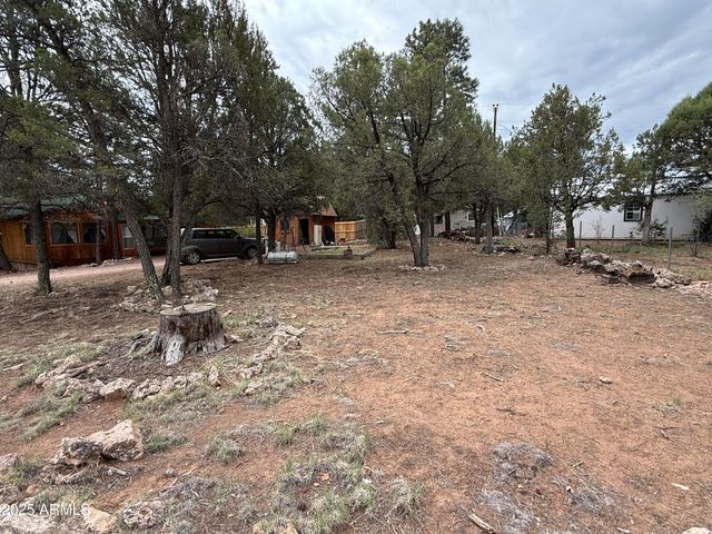 2181 HASHKNIFE Drive 41, Overgaard, AZ 85933