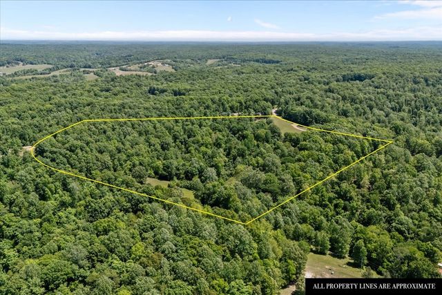254 Shiloh Hollow Rd, Erin, TN 37061