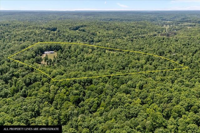254 Shiloh Hollow Rd, Erin, TN 37061