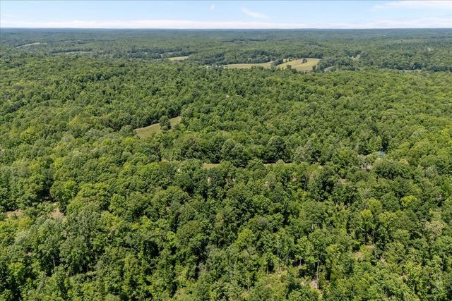 254 Shiloh Hollow Rd, Erin, TN 37061