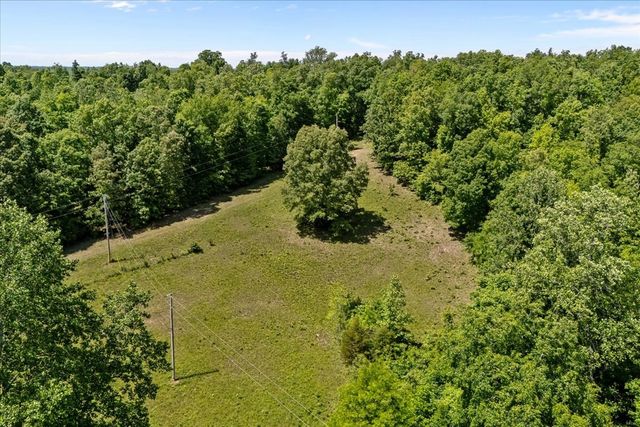 254 Shiloh Hollow Rd, Erin, TN 37061