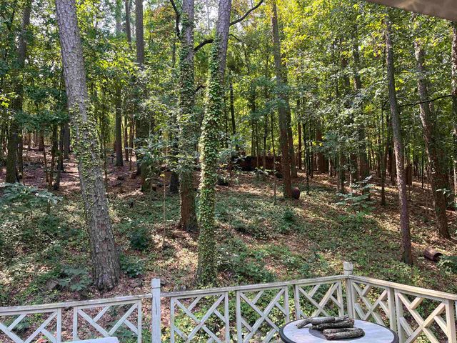 61 Lakeview Drive, Conway, AR 72032
