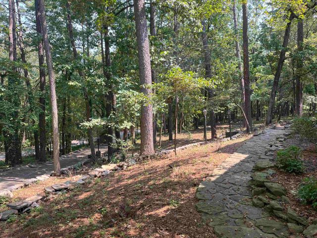 61 Lakeview Drive, Conway, AR 72032