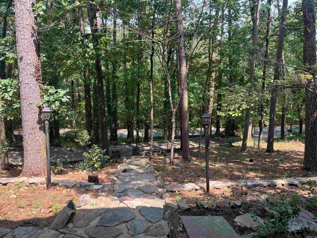 61 Lakeview Drive, Conway, AR 72032