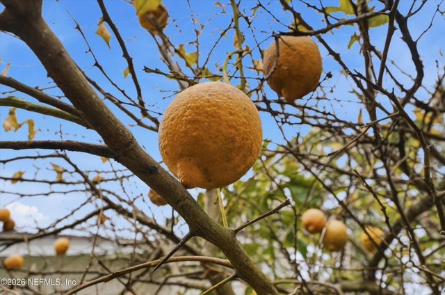 1673 LINKSIDE Court N, Atlantic Beach, FL 32233