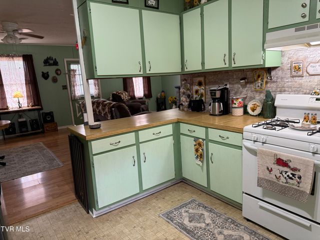 216 Willow Street, Mount Carmel, TN 37645