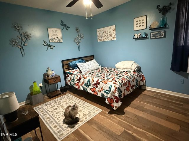 216 Willow Street, Mount Carmel, TN 37645