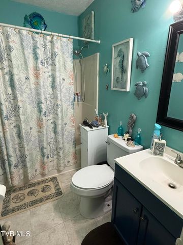 216 Willow Street, Mount Carmel, TN 37645