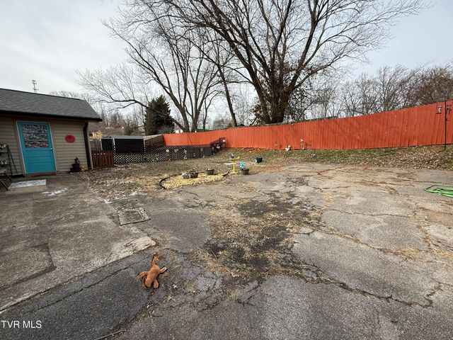 216 Willow Street, Mount Carmel, TN 37645