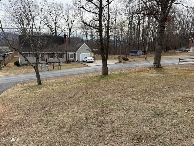 216 Willow Street, Mount Carmel, TN 37645