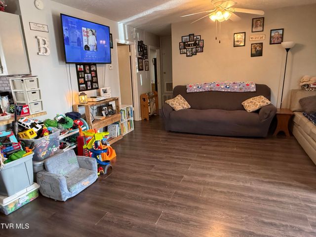 216 Willow Street, Mount Carmel, TN 37645