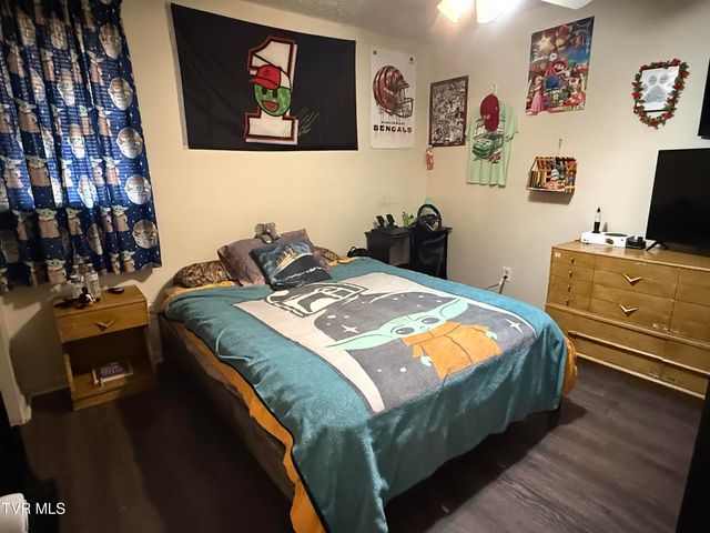 216 Willow Street, Mount Carmel, TN 37645